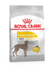 "Royal Canin" корм для взрослых и стареющих собак крупных размеров при раздражениях и зуде кожи, связанных с повышенной чувствительностью, Maxi Dermacomfort 3 кг