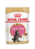 "Royal Canin" корм консервированный полнорационный для котят породы Мэйн Кун в возрасте до 15 месяцев (маленькие кусочки в соусе), Maine Coon Kitten 0,085 кг
