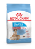 "Royal Canin" корм для собак средних размеров (весом от 11 до 25 кг) в конце беременности и в период лактации, а также для щенков в период отъема от матери и до 2-х месячного возраста, Medium Starter 4 кг